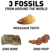 Load image into Gallery viewer, National Geographic Dino Fossil Dig Kit