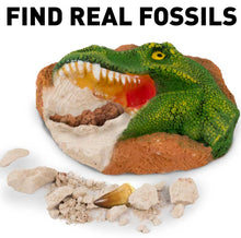 Load image into Gallery viewer, National Geographic Dino Fossil Dig Kit
